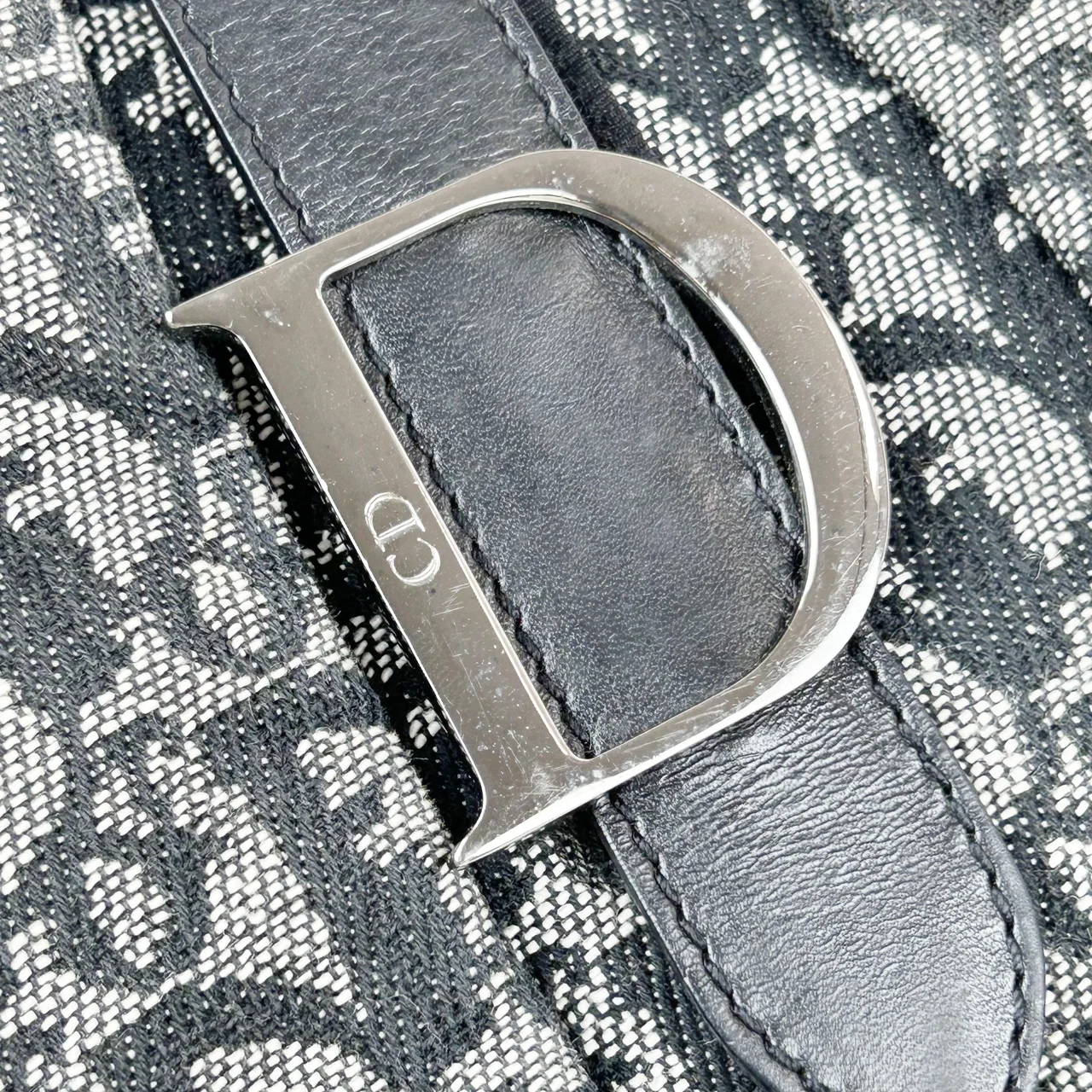 DIOR DOUBLE SADDLE HANDBAG view 9