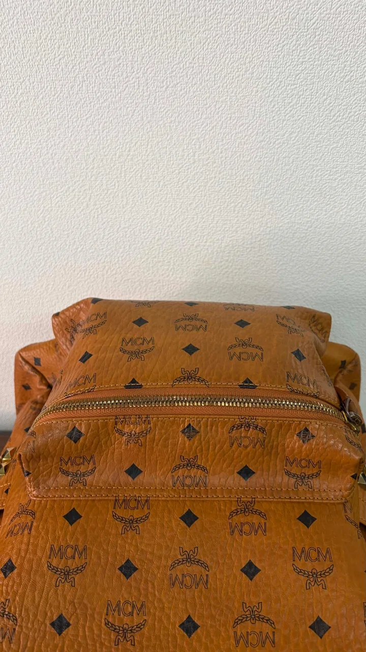 MCM VICETOS BACKPACK (BROWN) view 6