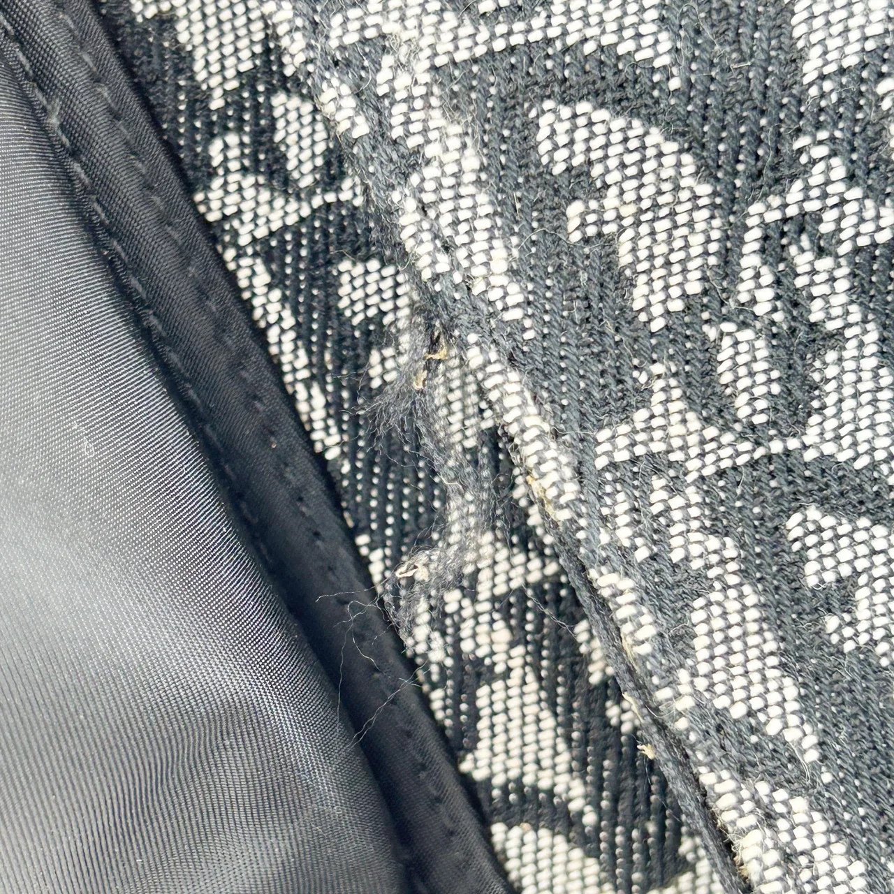 DIOR DOUBLE SADDLE HANDBAG view 11