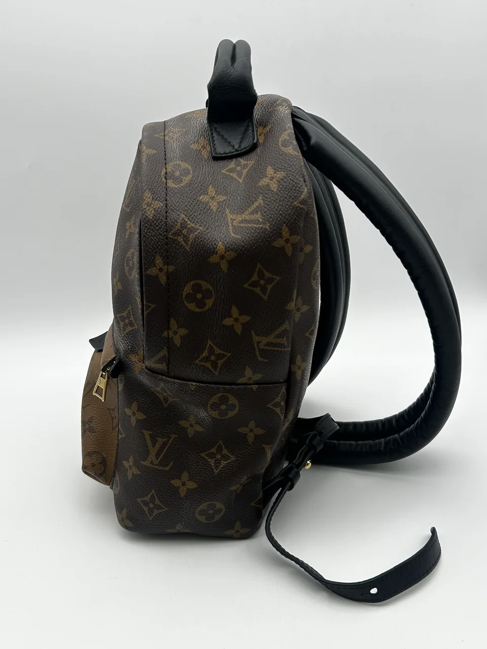 LV MONOGRAM REVERSE PALM SPRINGS view 5