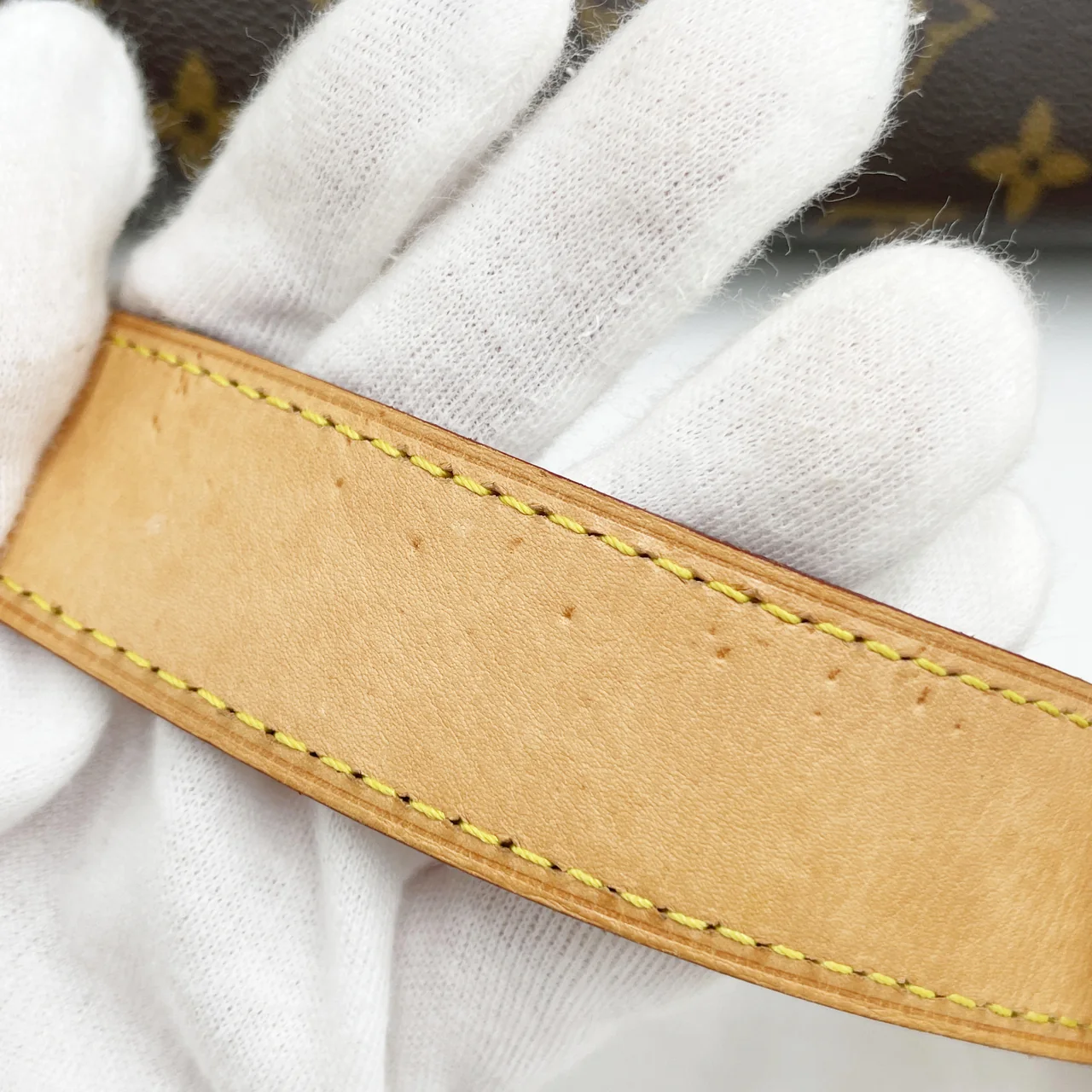 LV MONOGRAM HUDSON PM view 7