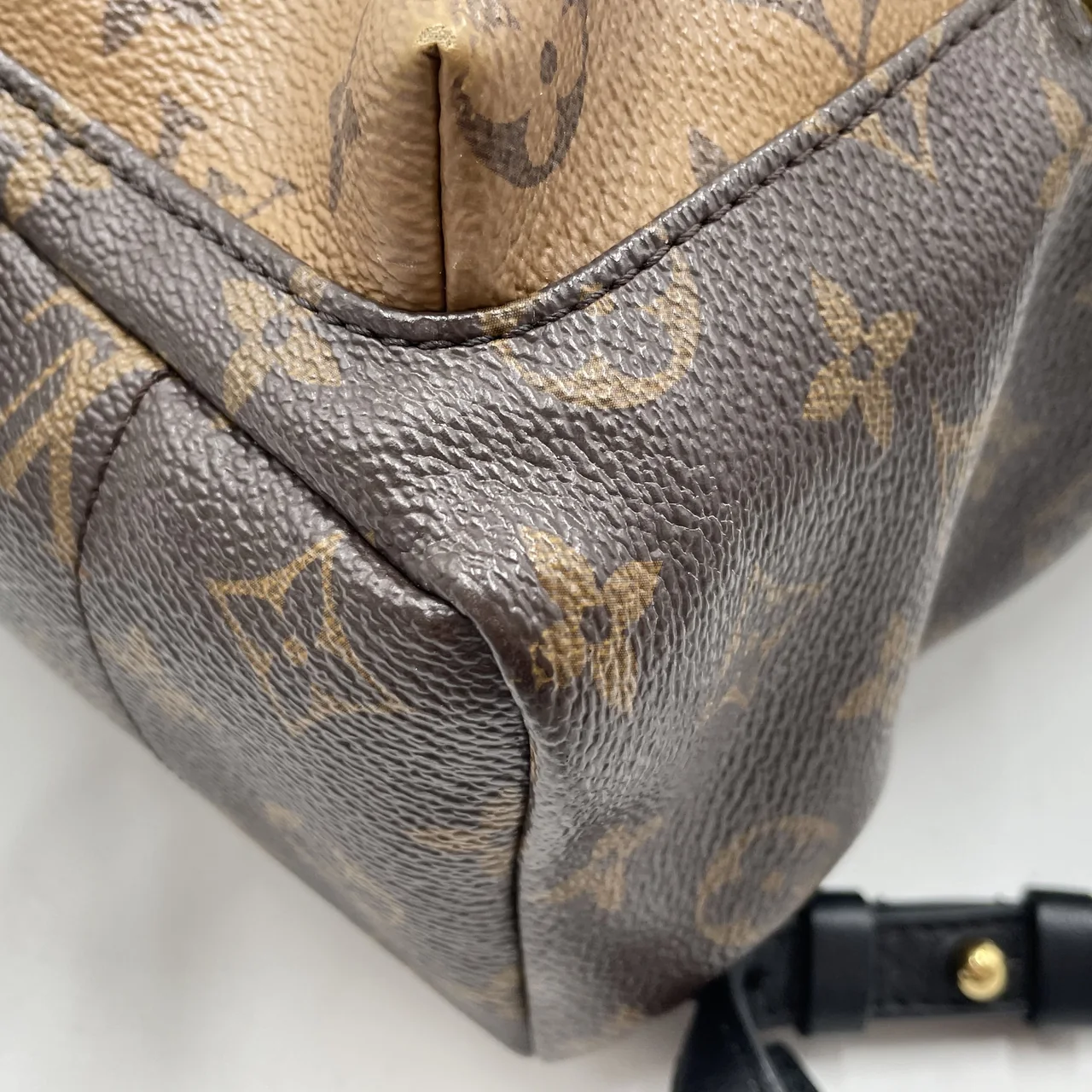 LV REVERSE MONOGRAM PALM SPRINGS PM view 5