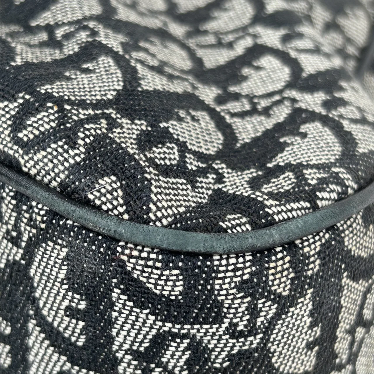 DIOR DOUBLE SADDLE HANDBAG view 5