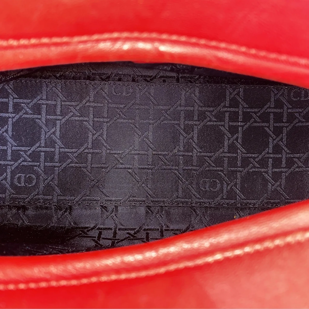 DIOR LAMB SKIN LADY DIOR MEDIUM view 14