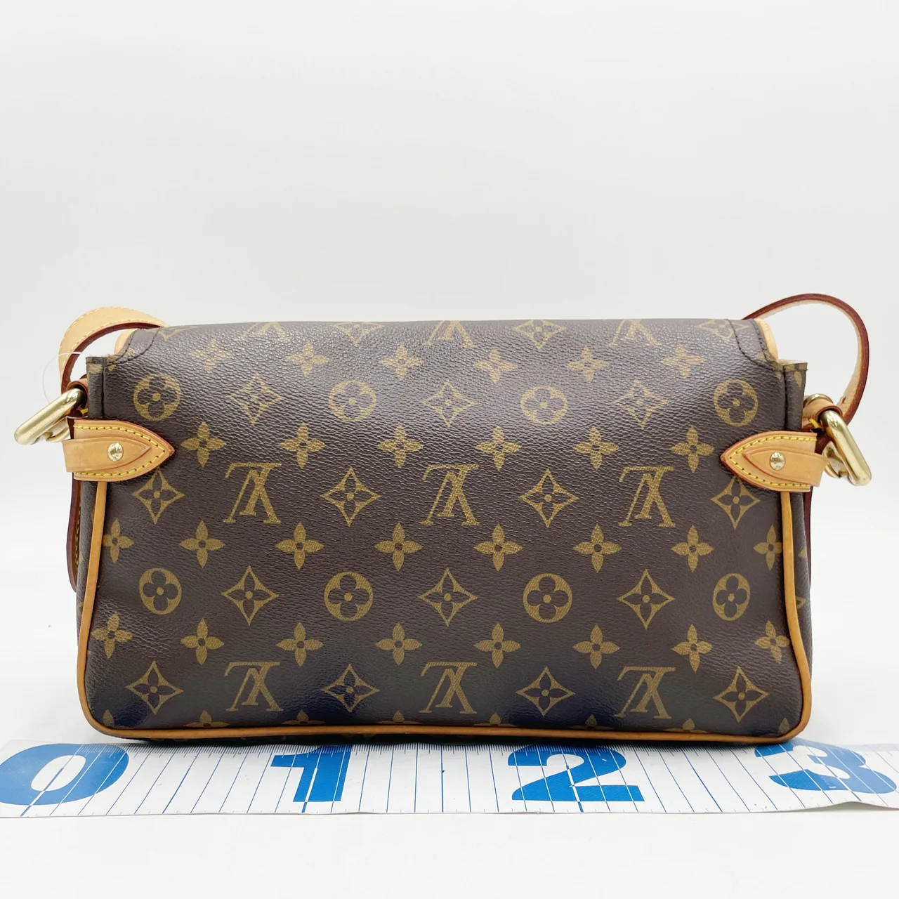 LV MONOGRAM HUDSON PM hover