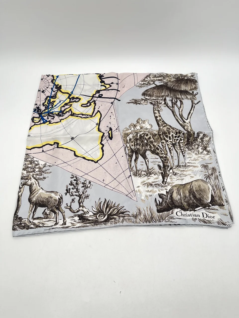 DIOR SCARF hover