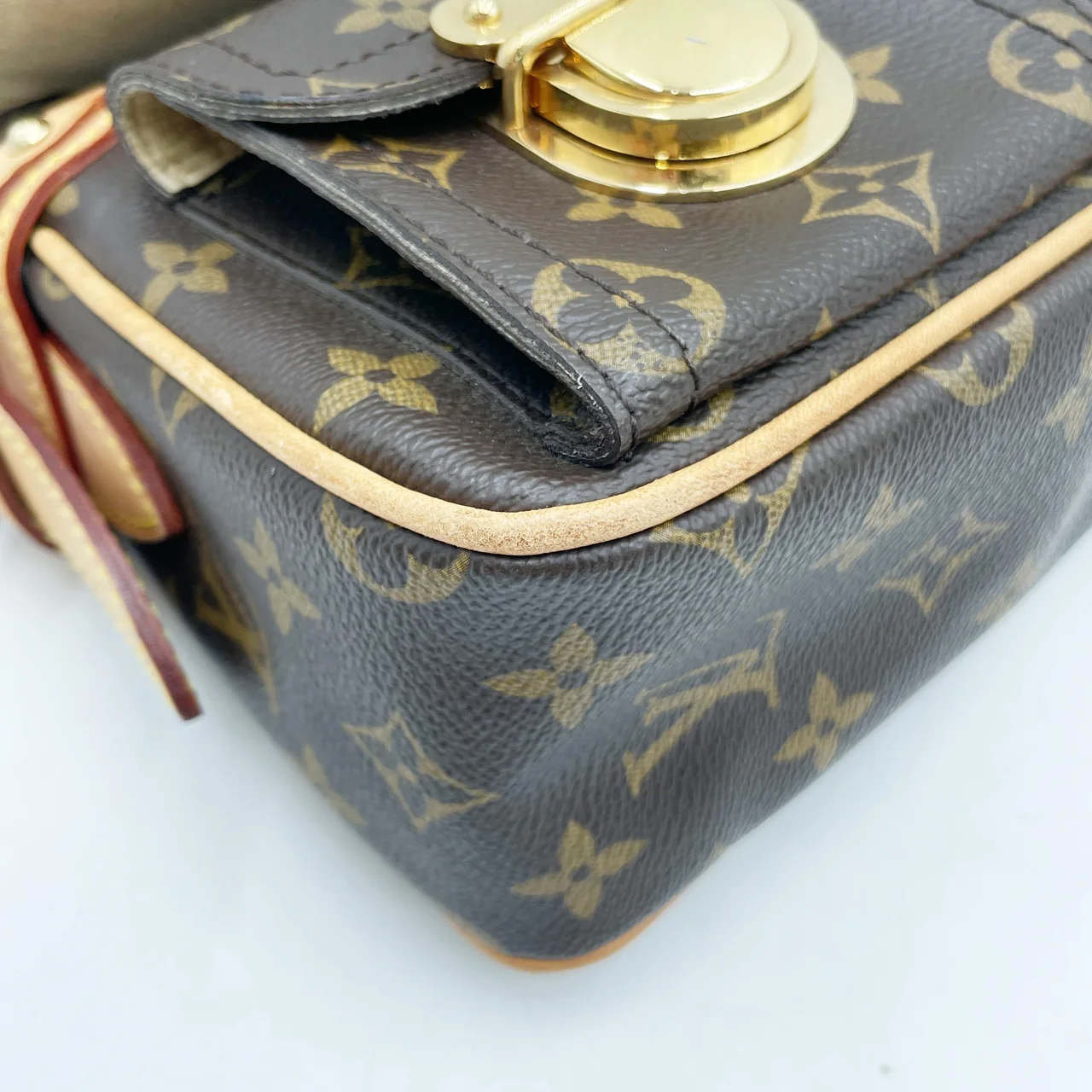 LV MONOGRAM HUDSON PM view 4