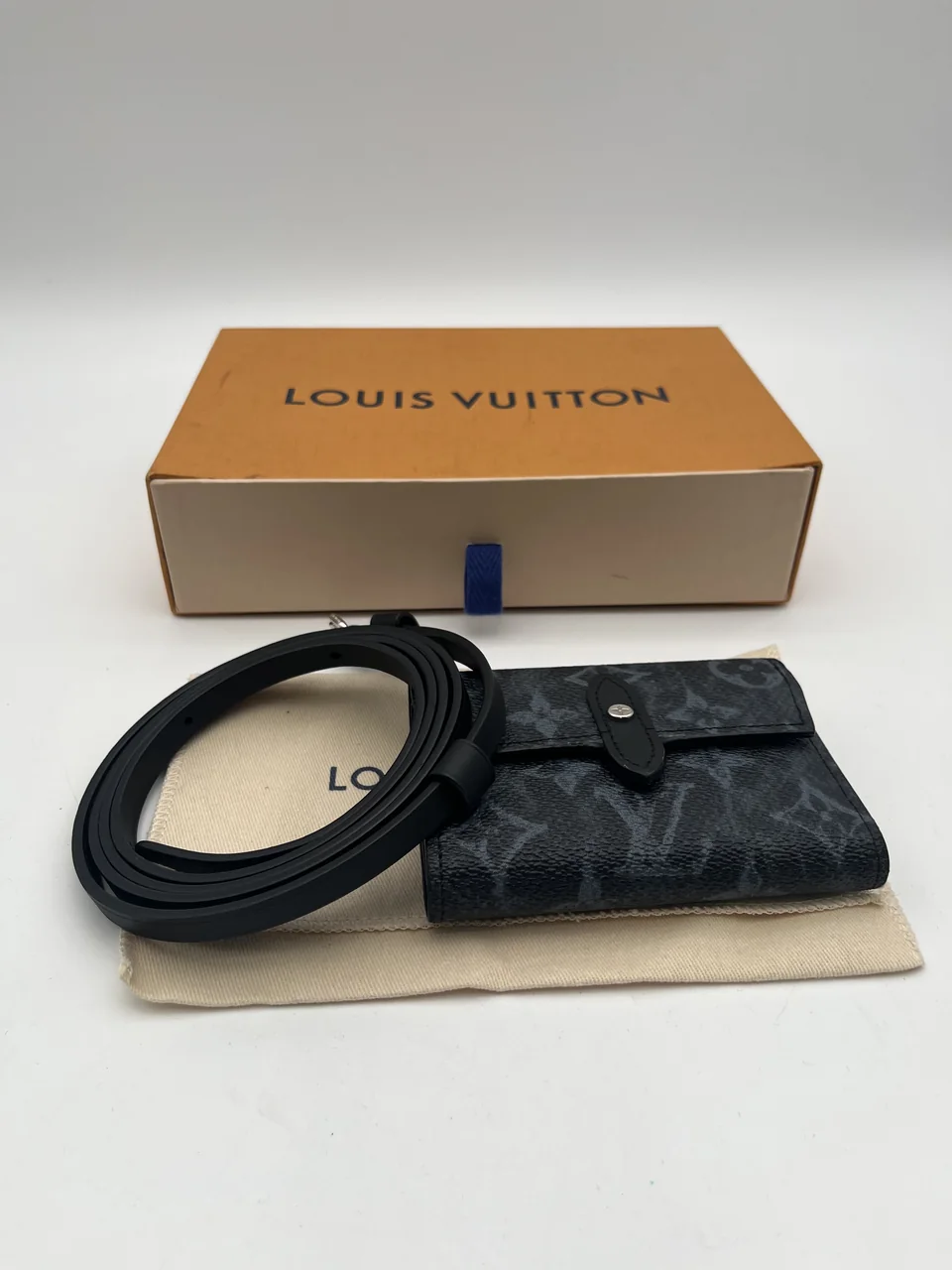 LV MONOGRAM PASTEL ORGANIZER DE POSHE view 14