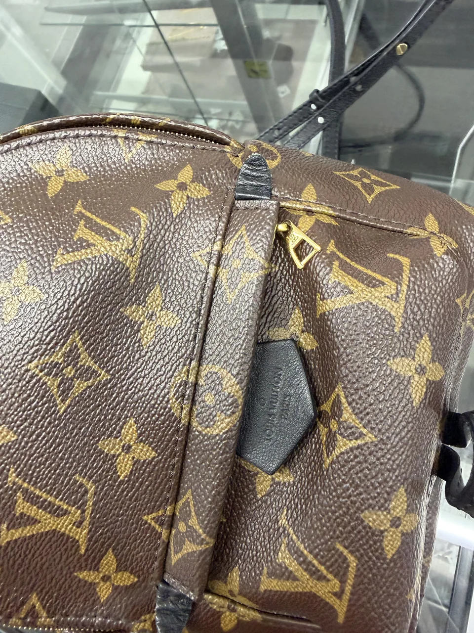 LV MONOGRAM PALM SPRINGS MINI view 5