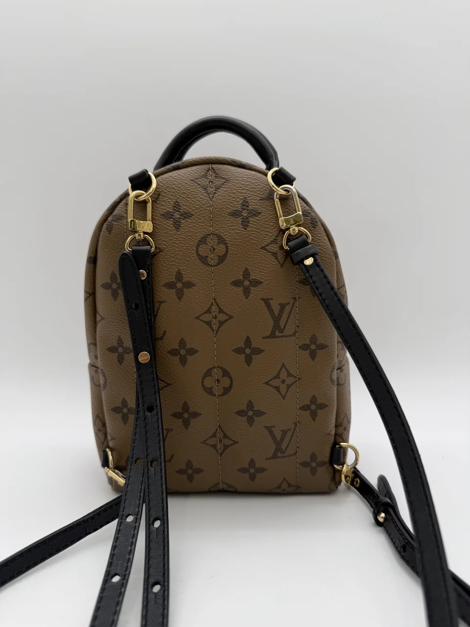 LV MINI PALM SPRINGS view 3