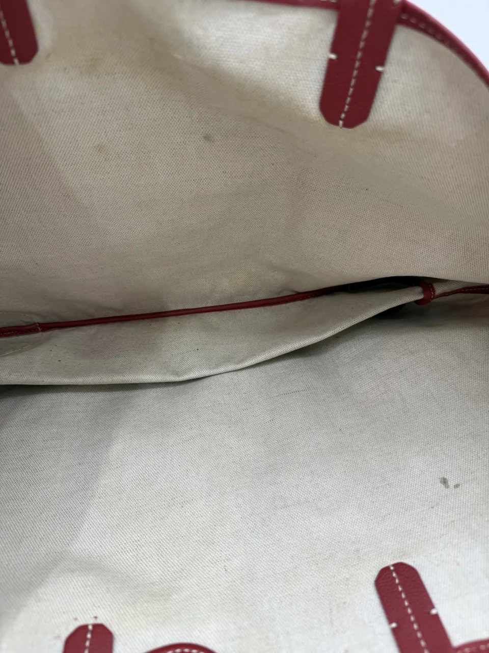 GOYARD SAINT LOUIS PM view 9