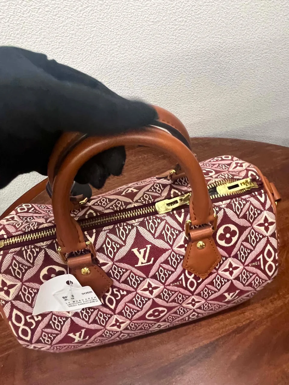 LV MONOGRAM JACQUARD SINCE1854 SPEEDY BANDOULIERE 25 view 11