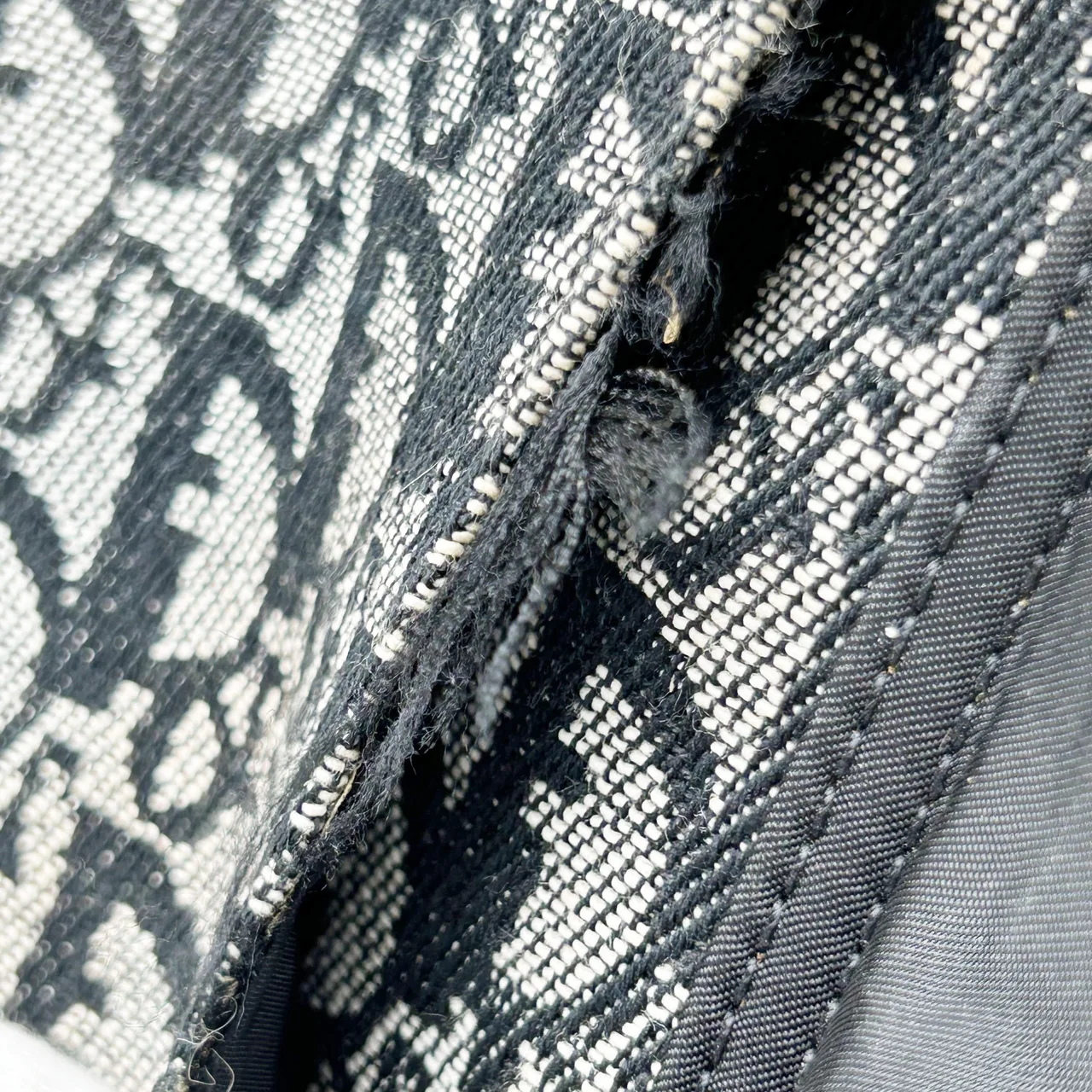 DIOR DOUBLE SADDLE HANDBAG view 10