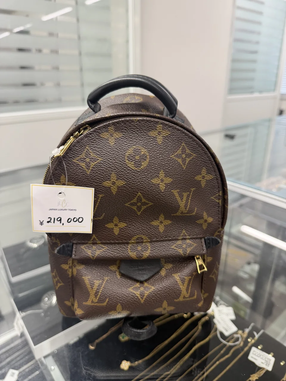 LV MONOGRAM PALM SPRINGS MINI view 2