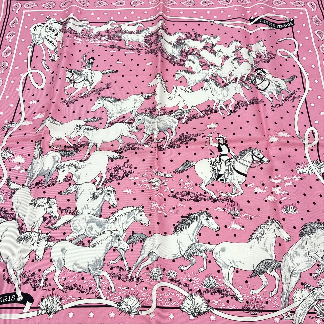 HERMES LES MUSTANG SCARF view 3