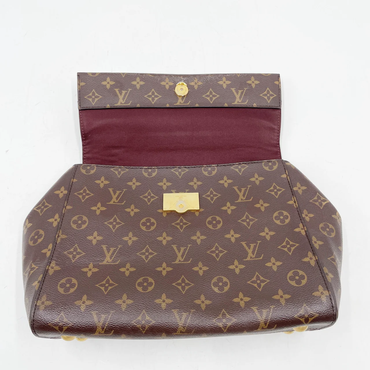 LV MONOGRAM CLUNY MM view 8