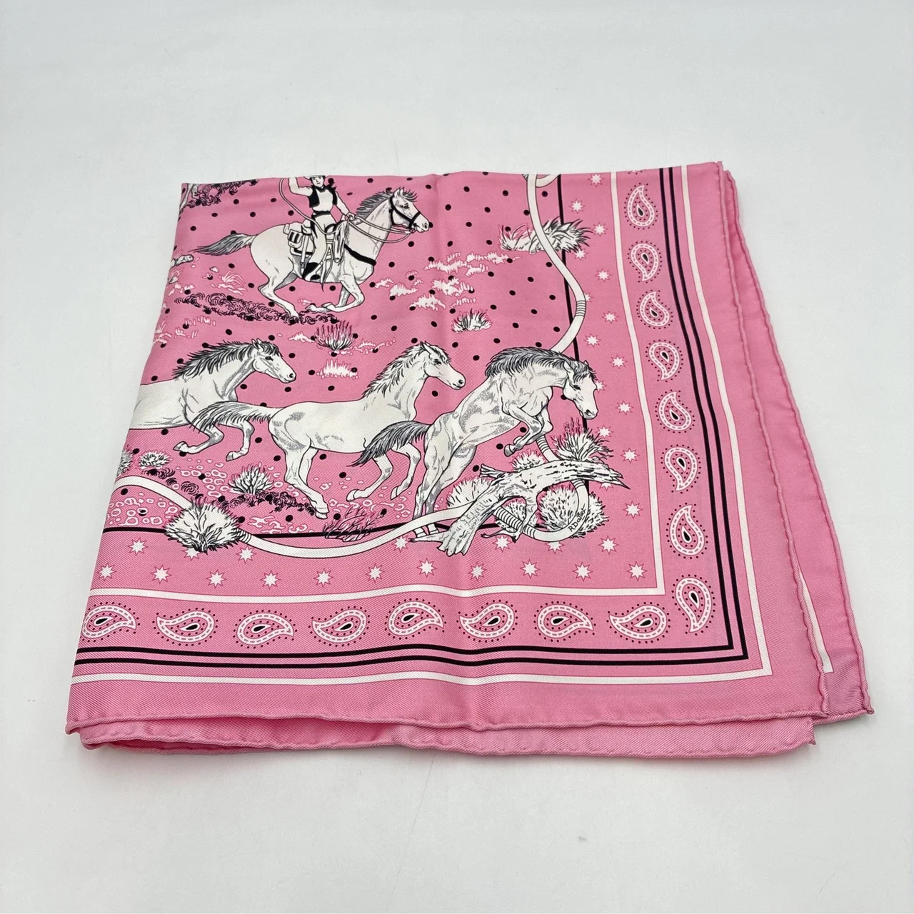 HERMES LES MUSTANG SCARF view 7