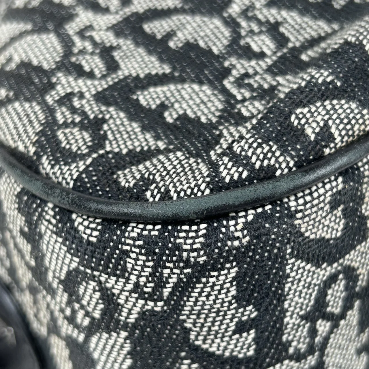 DIOR DOUBLE SADDLE HANDBAG view 4