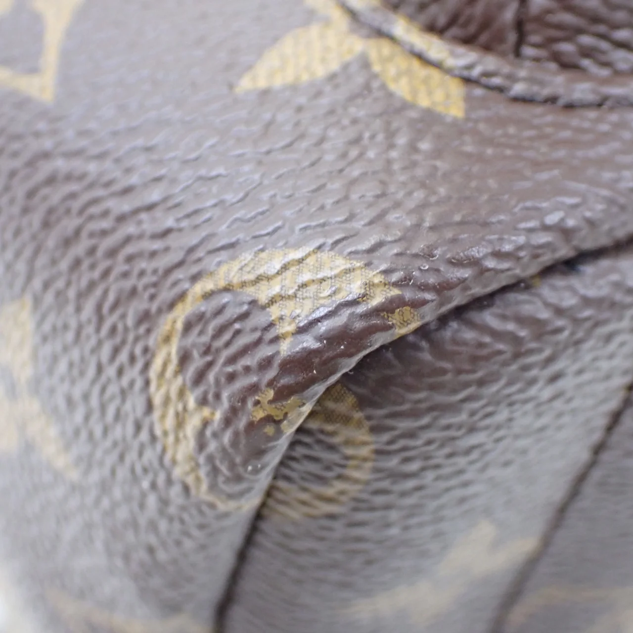 LV MONOGRAM PALM SPRINGS MINI view 14