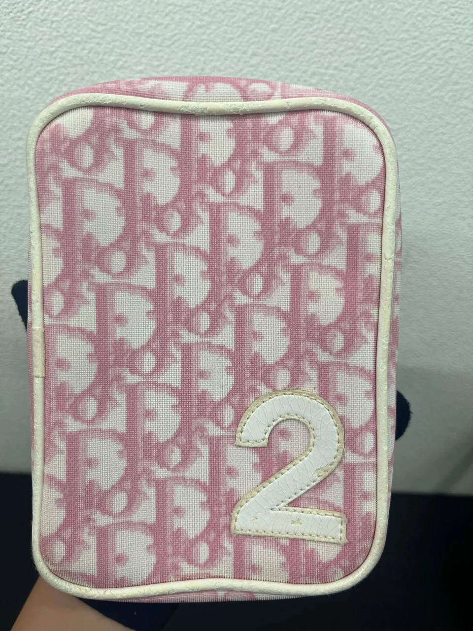 DIOR POUCH view 7