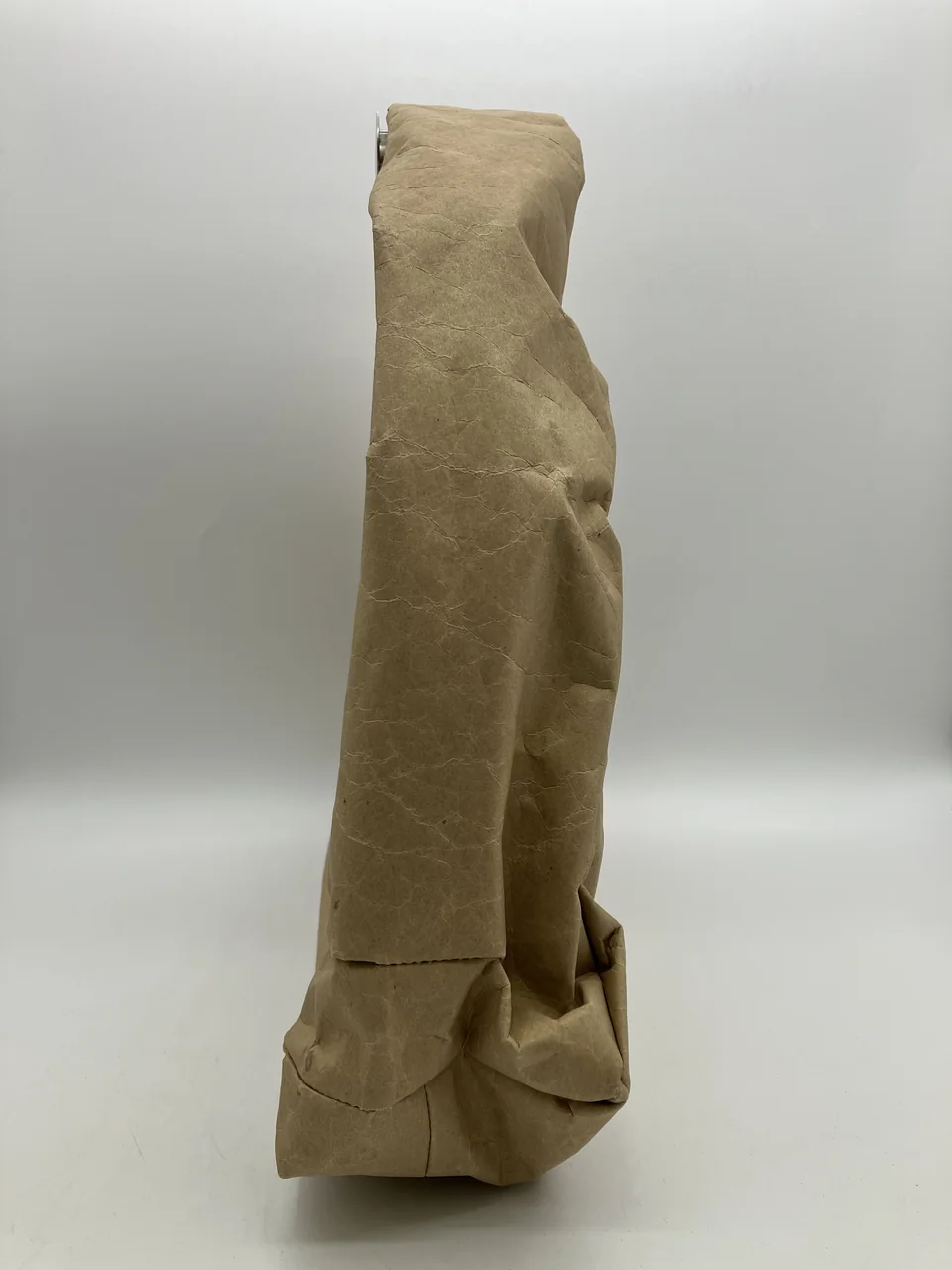 BOTTEGA VENETA HANDBAG (BEIGE) view 6