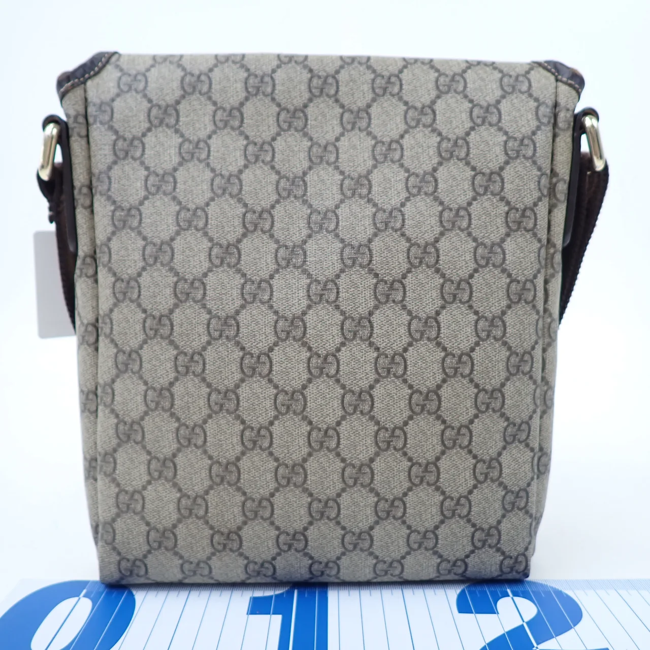 GUCCI GG PLUS SHOULDER BAG (BROWN) hover