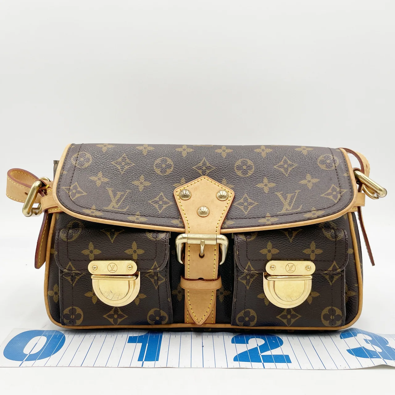 LV MONOGRAM HUDSON PM