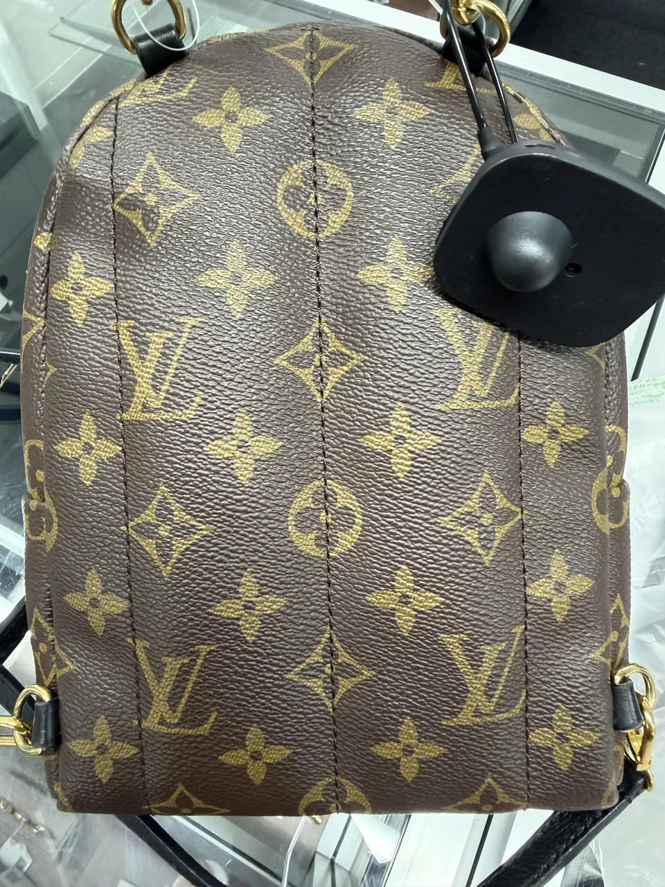 LV MONOGRAM PALM SPRINGS MINI view 7