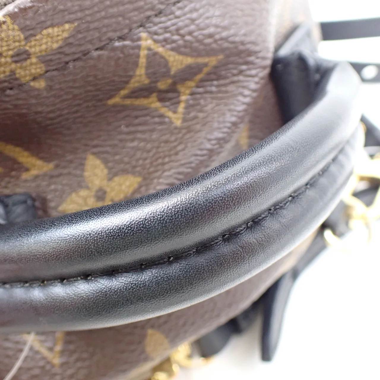 LV MONOGRAM PALM SPRINGS MINI view 15