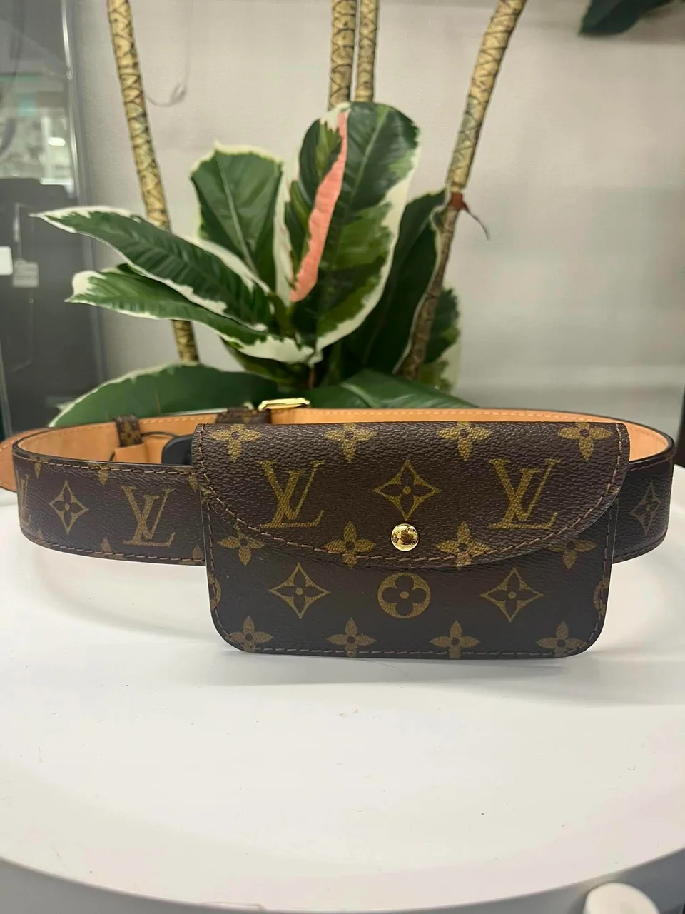 LV Belt Bag