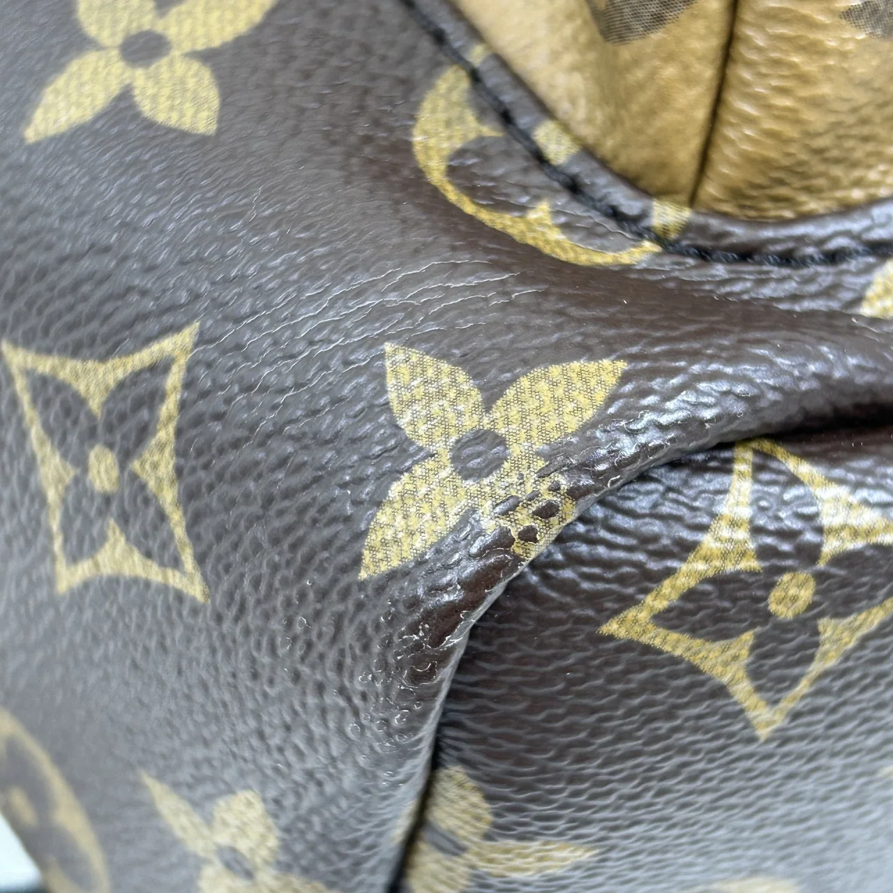 LV MONOGRAM PALM SPRINGS PM view 5