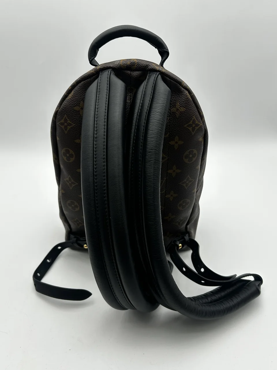 LV MONOGRAM REVERSE PALM SPRINGS view 3