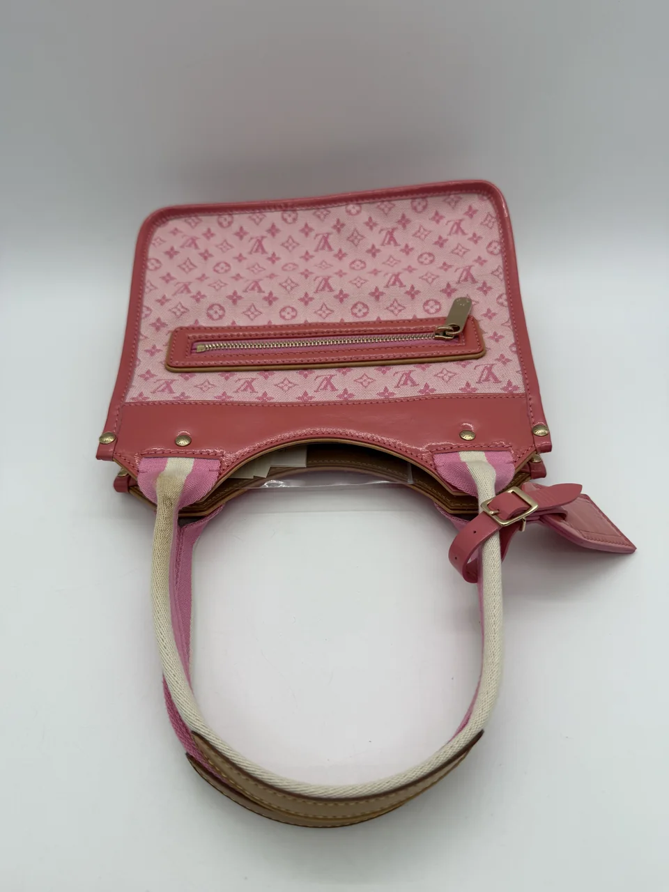 LV MONOGRAM MINI SAC CATLIN (PINK) view 8