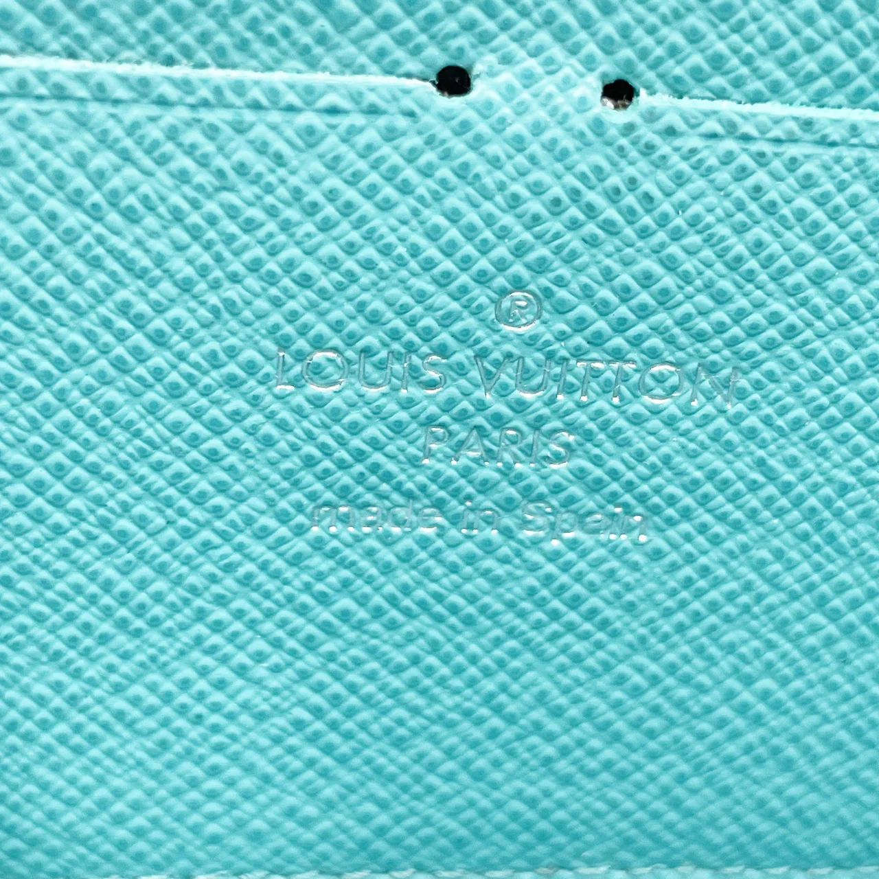 LV EPI ZIPPY WALLET view 11