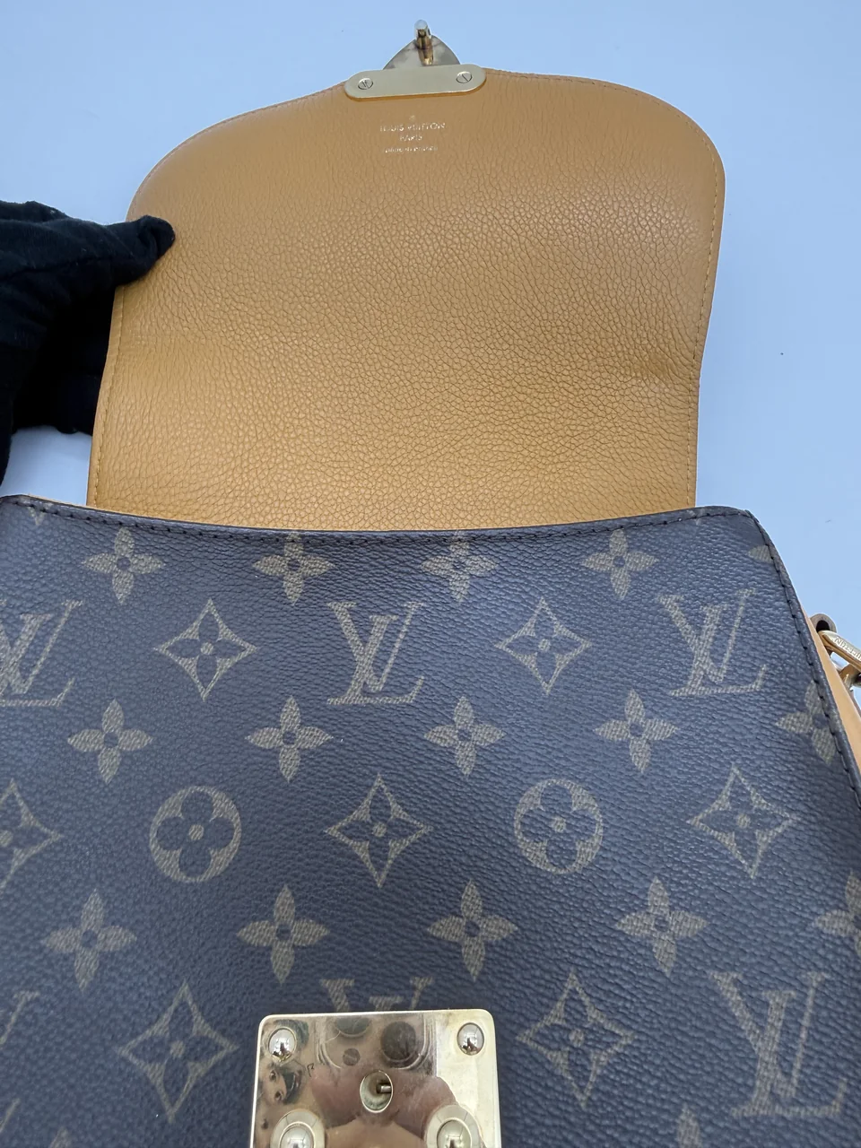 LV MONOGRAM EDEN view 11