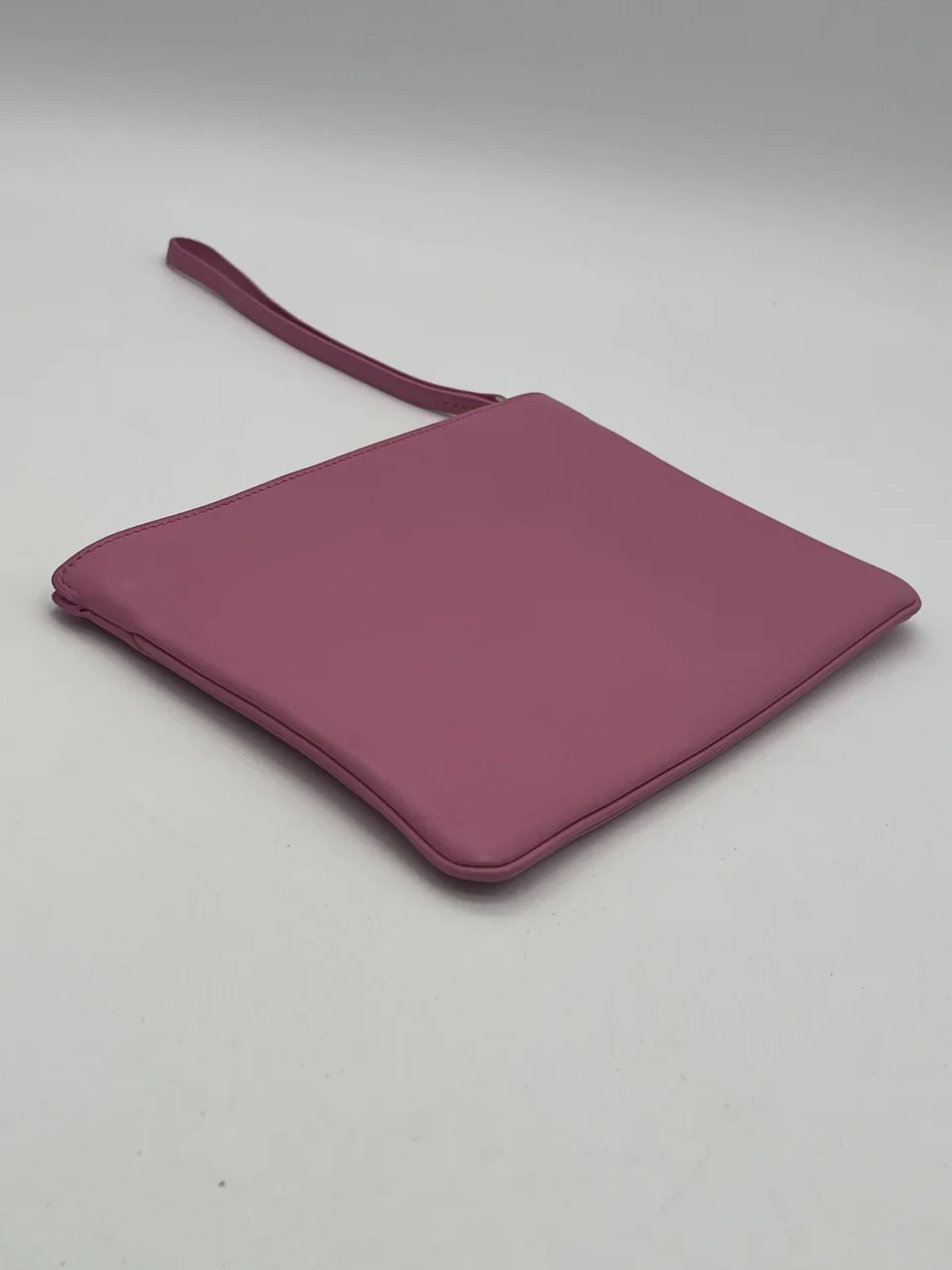 DELVAUX POUCH view 2