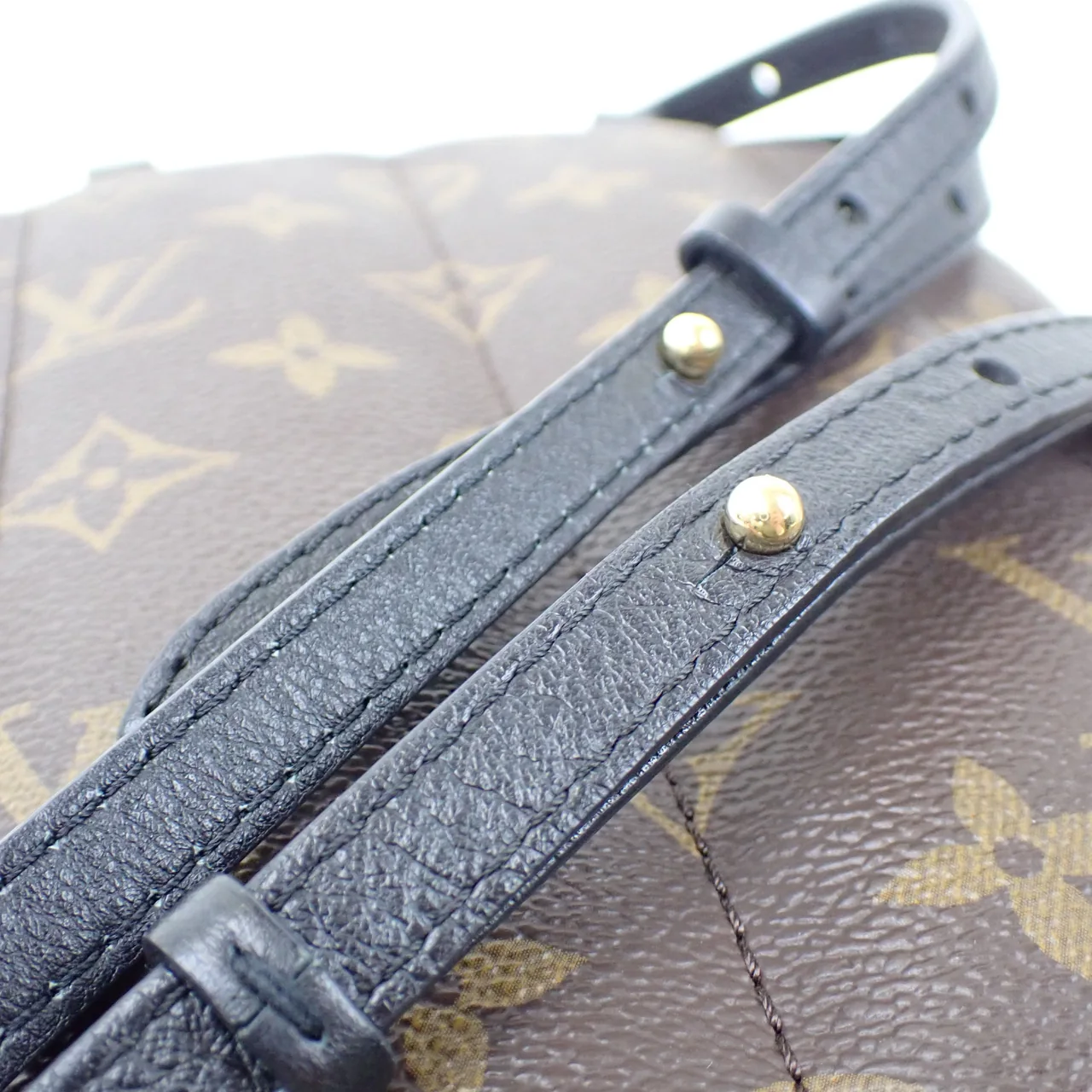 LV MONOGRAM PALM SPRINGS MINI view 16