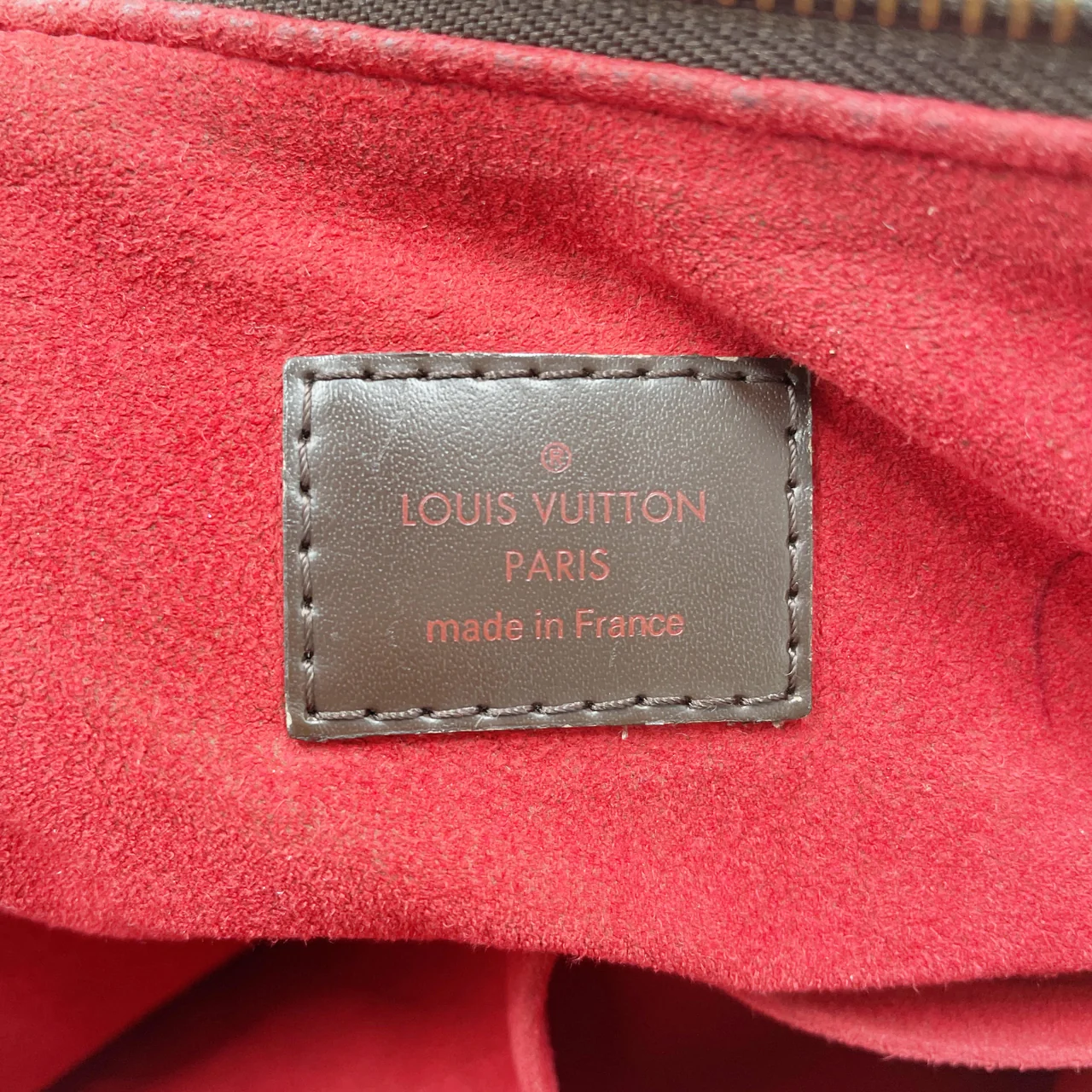LV DAMIER EVORA MM view 18