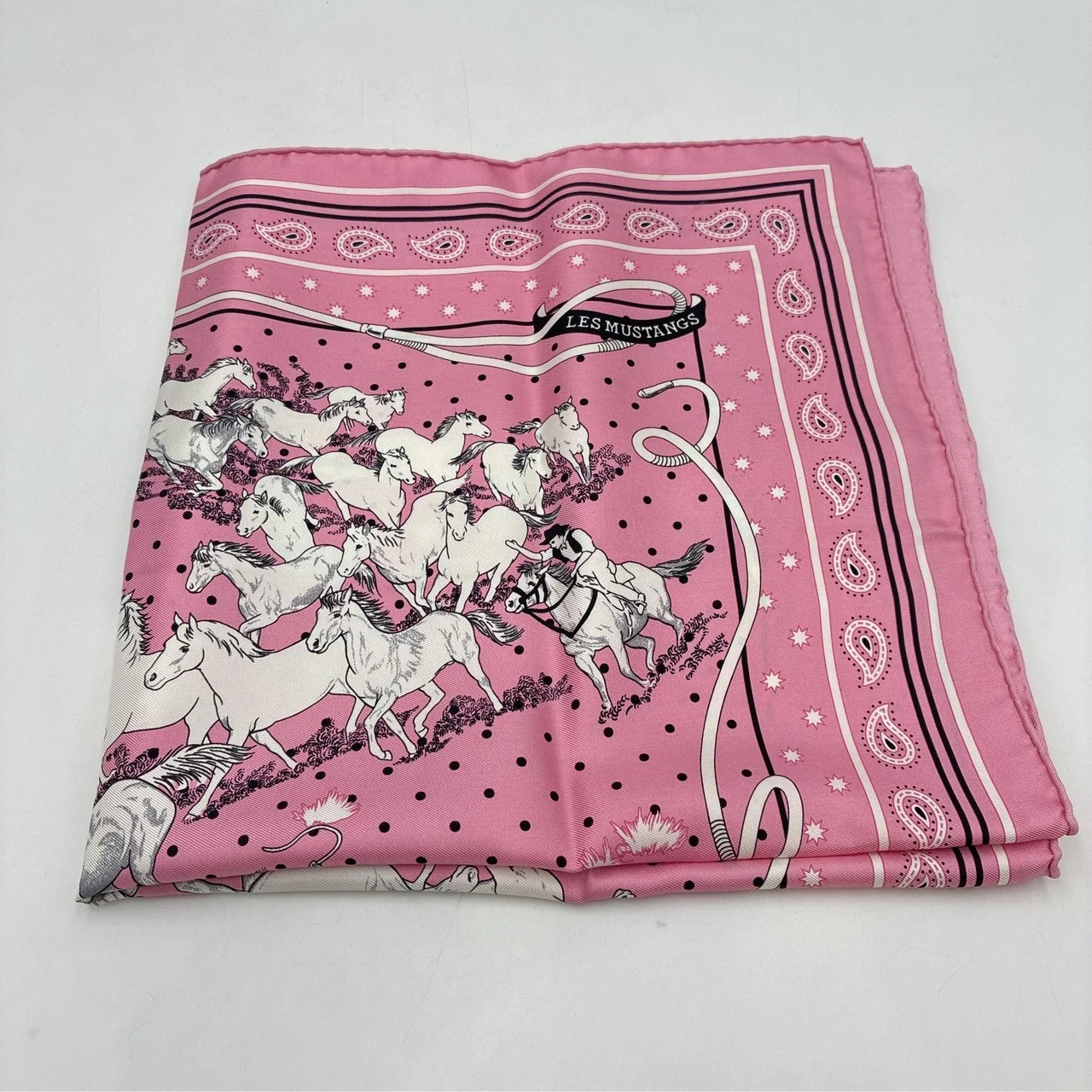 HERMES LES MUSTANG SCARF view 5