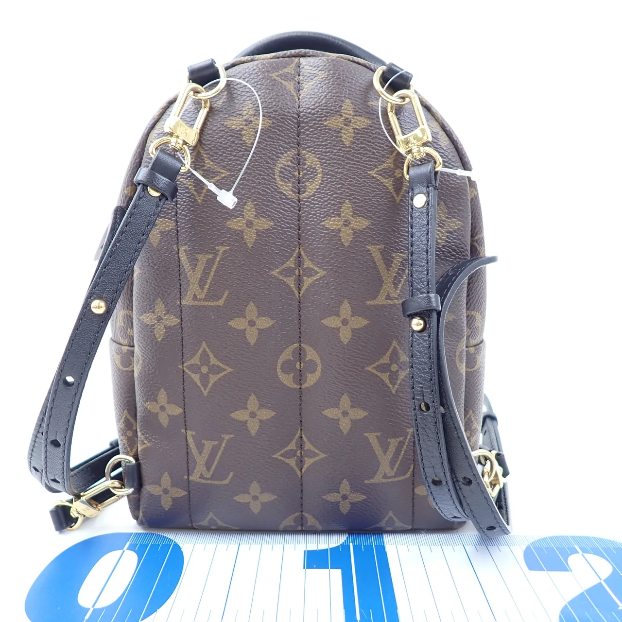 LV MONOGRAM PALM SPRINGS MINI view 11