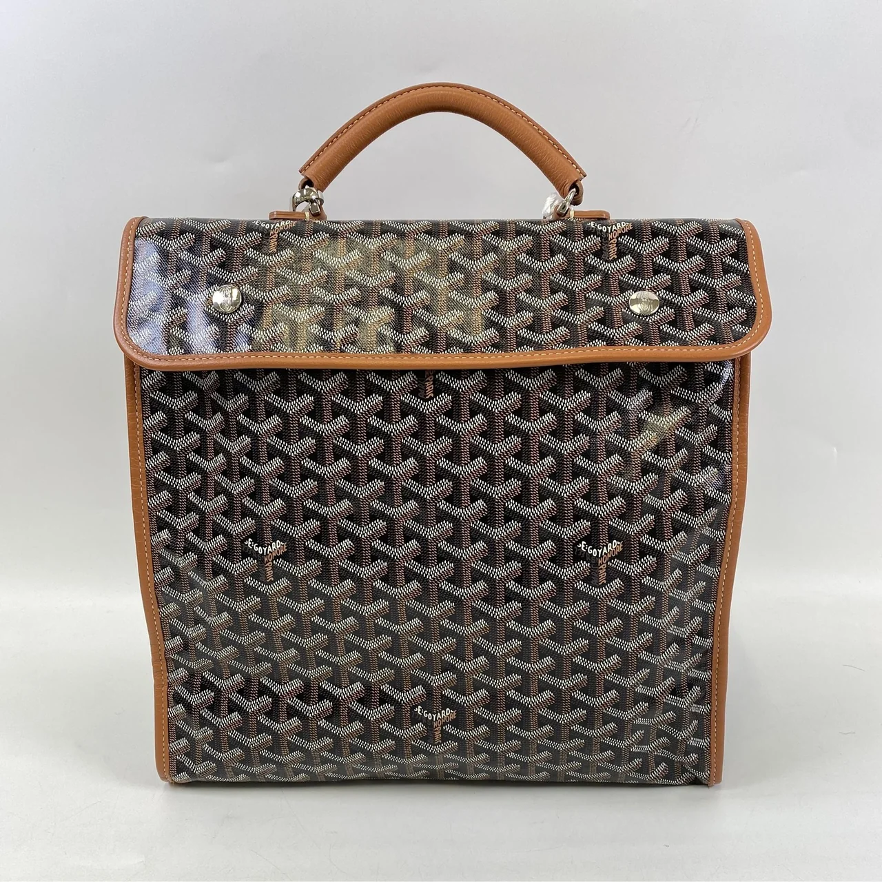 GOYARD SAINT LEGER