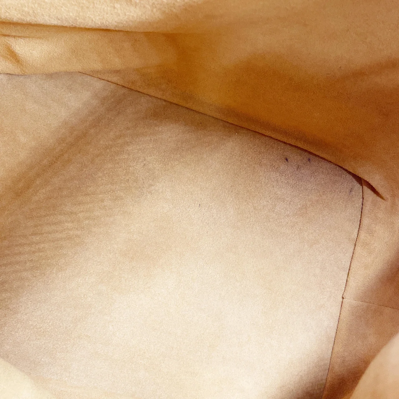 LV EPI NOE (BROWN) view 8