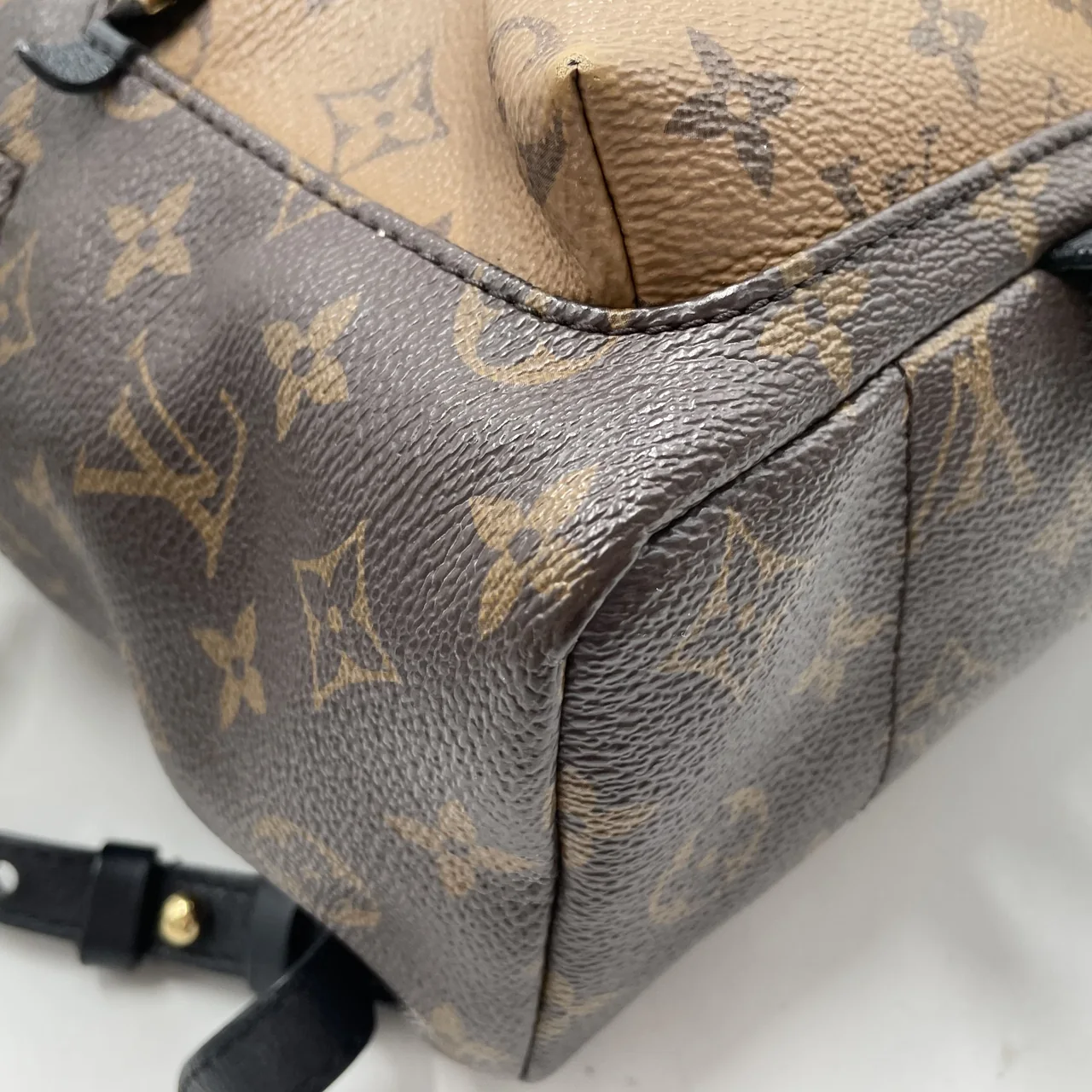 LV REVERSE MONOGRAM PALM SPRINGS PM view 4