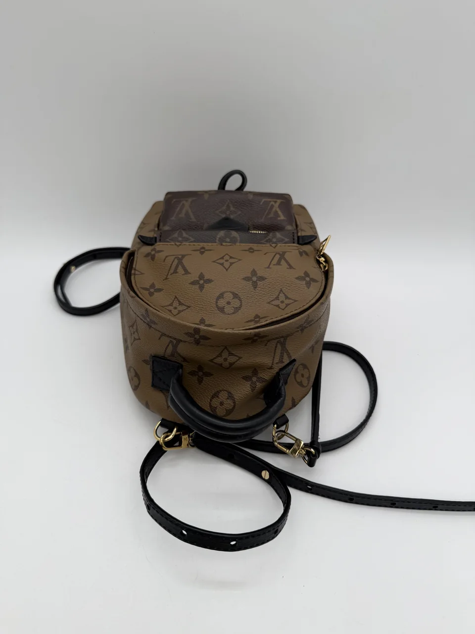 LV MINI PALM SPRINGS view 8