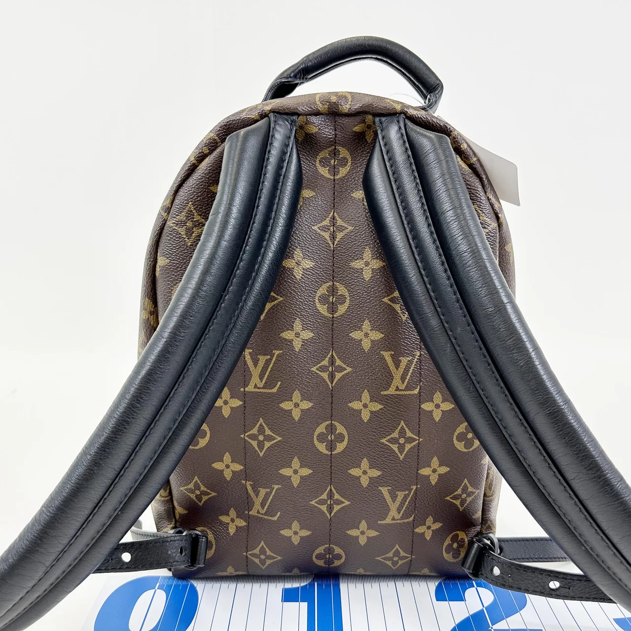 LV MONOGRAM PALM SPRINGS PM hover