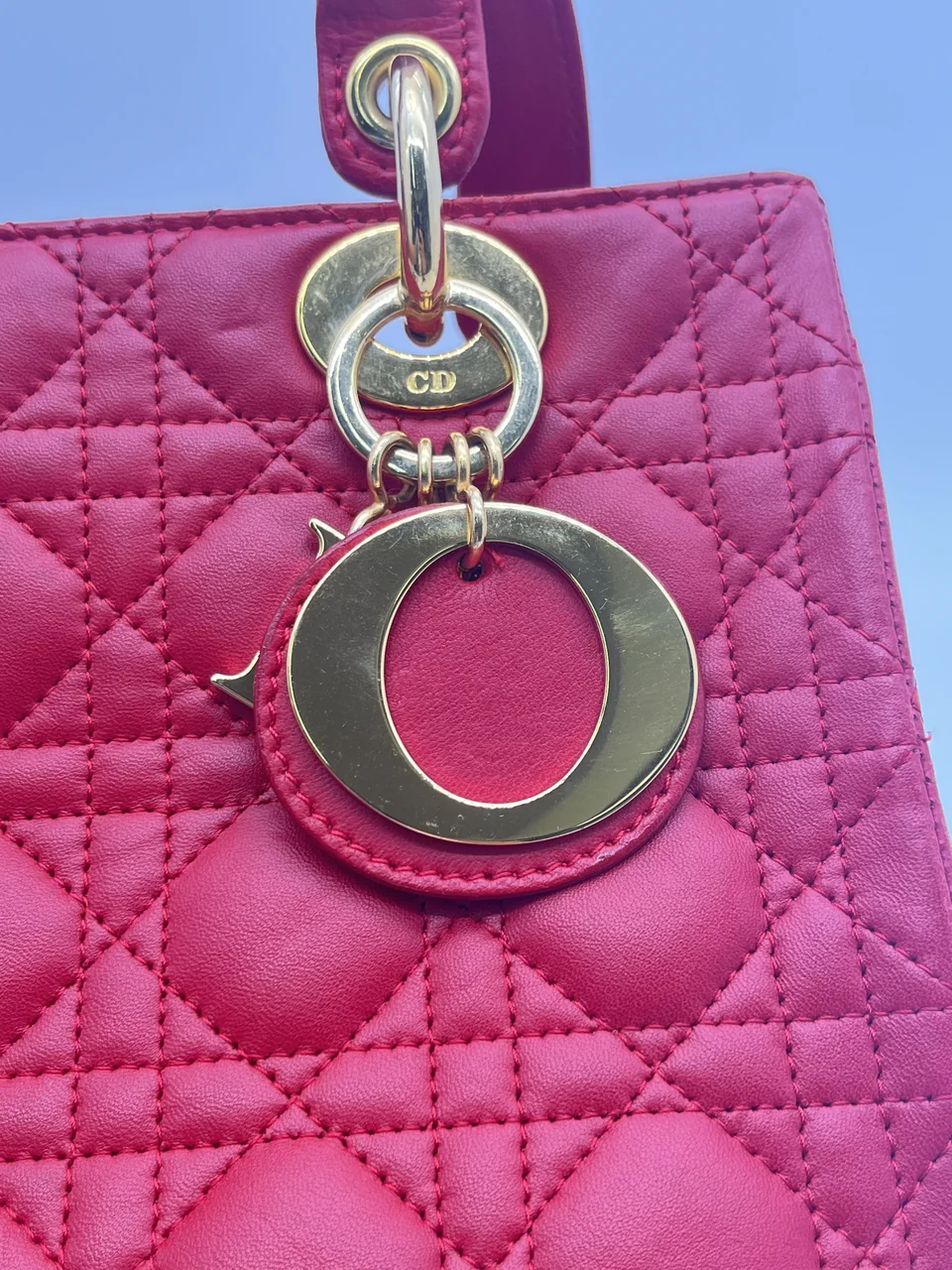 DIOR LAMB SKIN LADY DIOR MEDIUM view 9