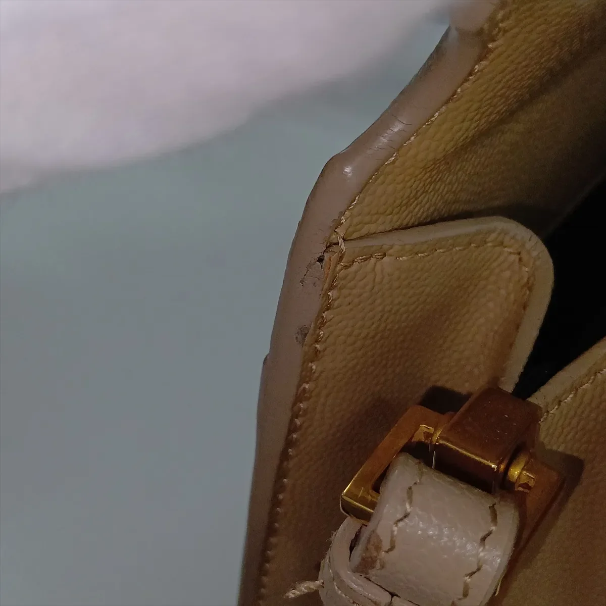 SAINT LAURENT CASSANDRA (BEIGE) view 13