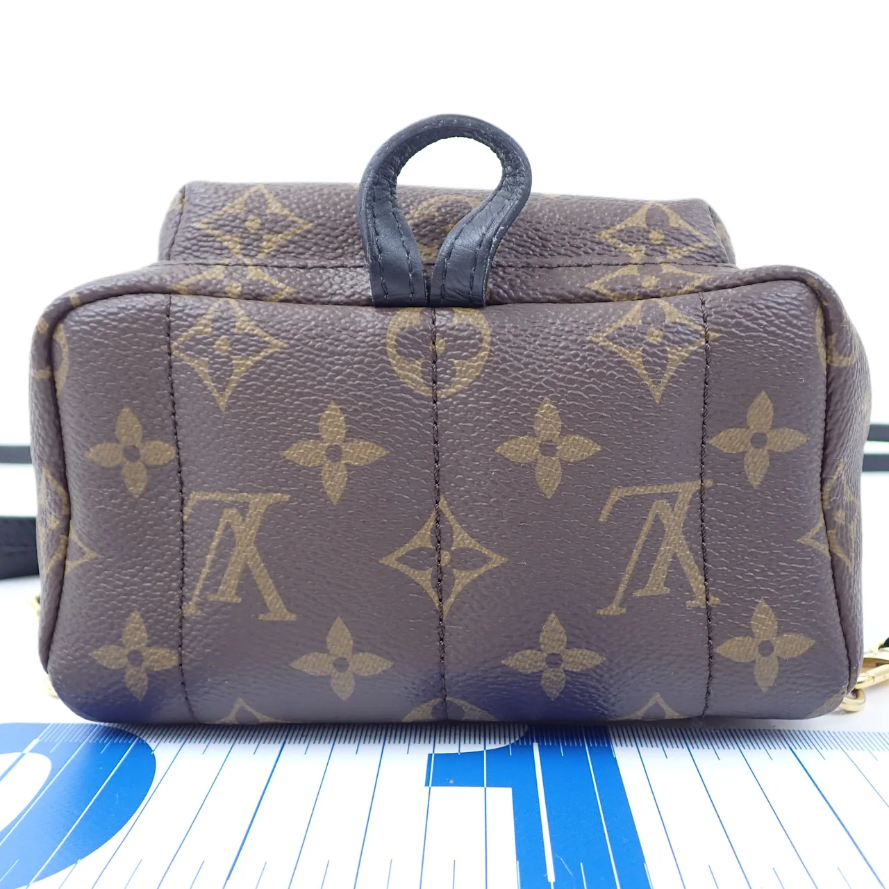 LV MONOGRAM PALM SPRINGS MINI view 12