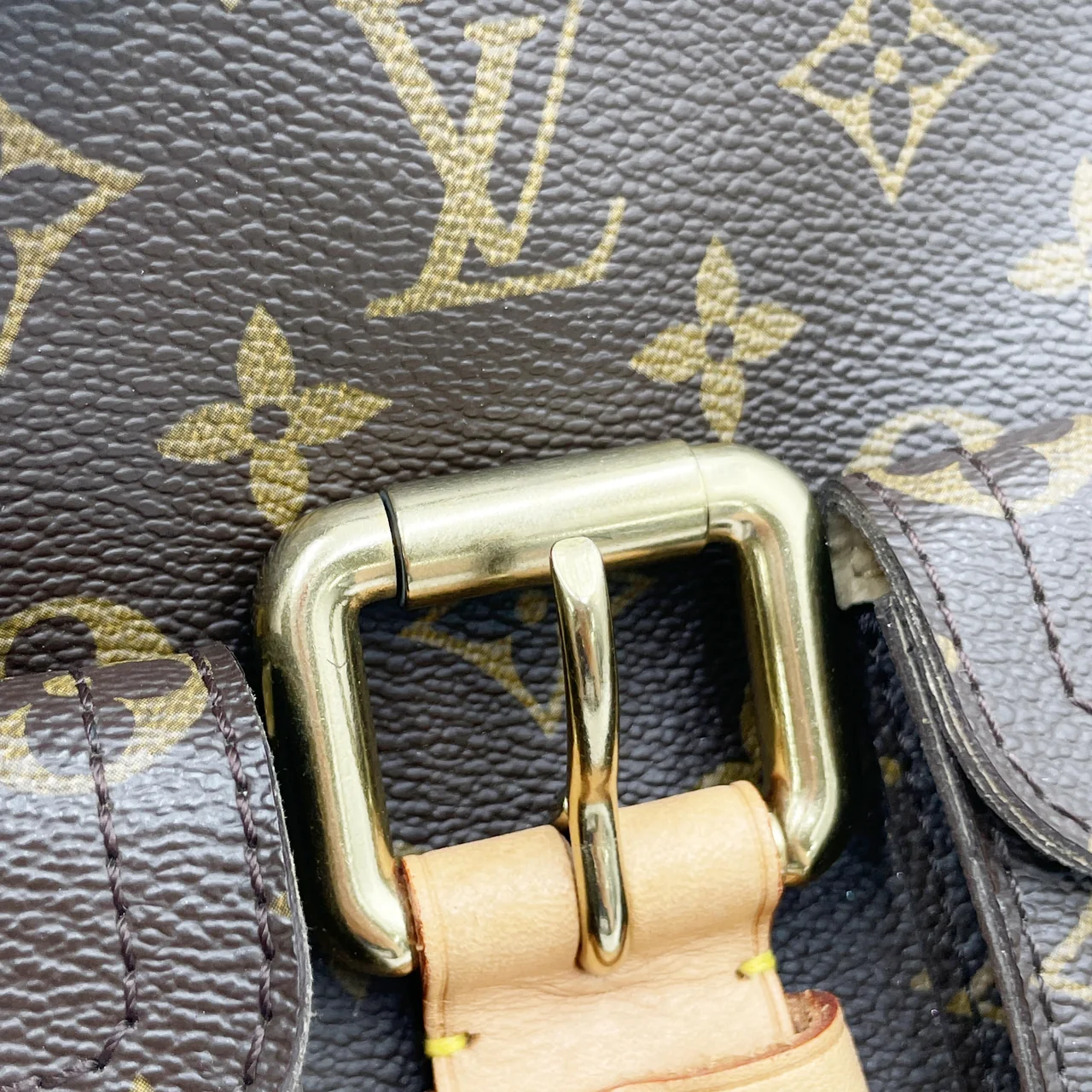 LV MONOGRAM HUDSON PM view 9