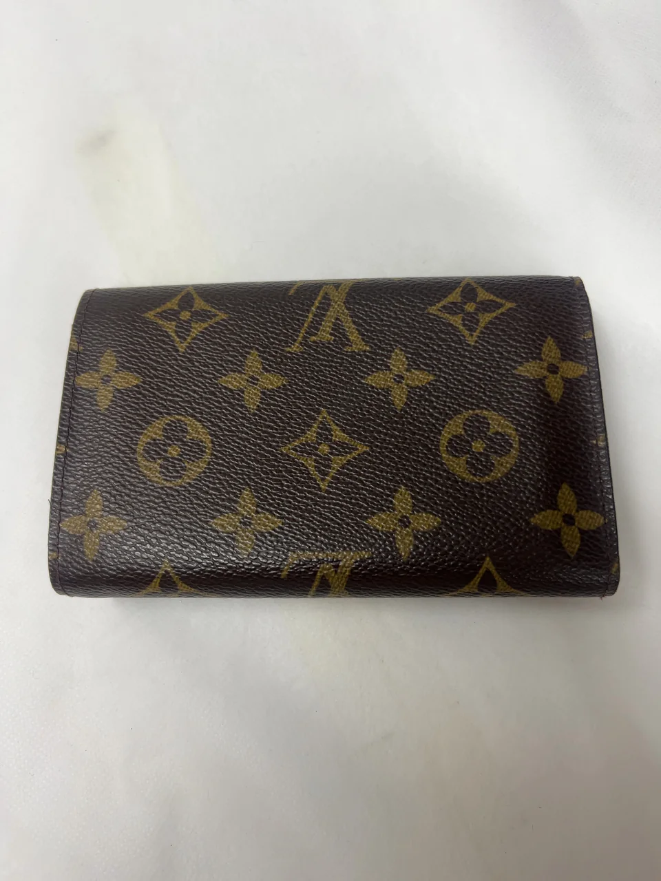 AY-19 156-5 LOUIS VUITTON view 6